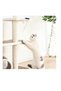 Electric Yo-yo toy with automatic lifting, interactive, for cats - 8