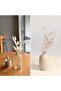 Natural Dried Cotton Grass, Rabbit Tail Bridal Bouquet Arrangement Flower Lagurus 60 Branches - 4