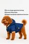 Indigo Small Breed Waterproof Dog Coat, Winter Dog Clothing