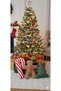 Christmas Decorative Pine Tree - Candy Cane - Cookie Man Set of 3 Throw Pillow / Christmas Ornament