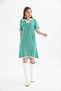 Women's Shirt Collar Green Color Striped Knee Length Dress - 5