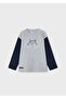 Winter Boys' Long Sleeve T-Shirt Light Gray - 5