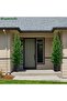 5ft Artificial Cedar Tree Outdoor Front Porch Decor in Black Planter - 3