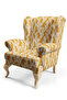 Modern Lace Looking Digital Printed Upholstery Babyface Fabric - 4