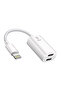 iPhone USB Cable