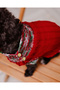 Köpek Yılbaşı Kazak - 3