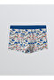 Gray Sonic Printed Boy's Boxer