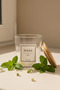 Nova - 4-Piece Bamboo Vacuum Lid Glass Storage Container Spice Jar Set with Label Gift 350 ml - 5