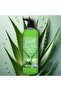 Elegant Shower Gel | Aloe Vera | 1 Liter | Rejuvenating Body Wash by Elegant - 2