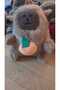 Capybara Keychain All Models 9 cm - 5