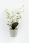 Artificial Cobalt Ida 5-Branch Wet Orchid Bunch 45 cm White - 2