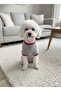 Cat - Dog Welsoft Soft Plush Sweat - Clothing - Coat - Vest - 7
