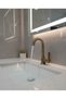 Antique Vintage Swan Sink Faucet - Matte Gold Sink Faucet