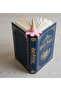 Melting Ice Cream Page Holder