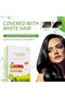 Apple Ammonia Free Black Hair Color Cream 500 + 500 ml - 3