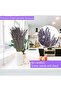 Dried Lavender Bundles, Natural Dried Lavender Flowers 280-300 Stems, 16", 2 Bundles - 5