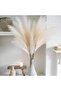 Faux Pampas Grass, 4 Stems, 39 in, Beige