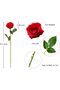 DuHouse Artificial Silk Roses Long Stem (Red) - 10 pcs - 6