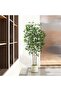 Artificial Ficus Tree with Natural Wood Trunk, Lifelike Leaves (B, 150cm) - 7