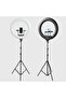 14" LED Soft Ring Light with Remote | Compact Dimmable Light for Makeup, Photos & Streaming
