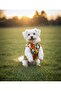 Plush Patchwork High-Necked Dog Outfit - Dog Vest - 6
