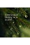 Frasier Fir Candle – Silver Pine Needle Design (Statement, 6.5 oz) - 2