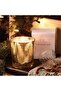 Frasier Fir Gilded Poured Candle (13 oz) - 2