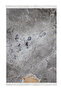 Home Non-Slip Base Djt Toilet Set Star Cotton Fringed Marble E5037 Gray - 2
