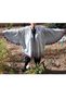 Anime Demon Slayer Shinobu Cosplay Suit - 2