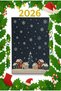 Mosso Early Year Special Pattern Carpet Mosso1690