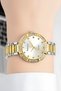 Steel Cord Steel Case Women Wrist Watch, Bracelet Gift Silver-Gold Zmfer202 - 2
