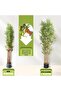 Artificial Bamboo Tree 150cm - 7