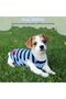 Pet Dog Striped T-Shirt - Cotton Vest (Medium, Blue-Vest) - 7