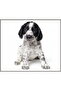 Proiector tip lanterna - Animalute dragalase - 4