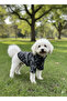 Cat - Dog Transitional - Winter Knitwear Sweater - Sweat - Coat - Vest - 5
