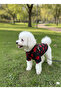 Cat - Dog Transitional - Winter Knitwear Sweater - Sweat - Coat - Vest - 6