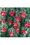 Christmas Pine Tree Ornament with Red Bell Figure Christmas Tree Ornament 12 Pieces 3 cm