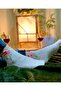 5-Piece Cotton Embroidered Patterned Socks Set – Grade a Fabric, Women's & Girls' Student Socks, Comfort & Soft - 8