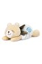 Warm Cuddle Teddy Bear 0m+, Multicolor