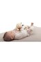 Warm Cuddle Teddy Bear 0m+, Multicolor - 4