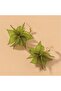 Frosted Green Acrylic Floral Gold Hoop Earrings