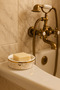 Decorative Porcelain Tree of Life Patterned Solid Soap Dish with Gold Detail, 1 Piece - 2