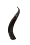 Real Hand-Carved Decorative Horns – Full-Size Collectible Accent - 2