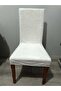 Bashtugh Chair Cover, Washable, Elastic, Velvet Fabric Chair Cover 1 Piece