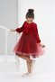 Red Velvet Girl's Dress with Pleated Tutu Skirt Autumn & Winter - 2
