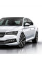 Skoda Fabia, Octavia, Karoq, Kodiaq, Kamiq, Scala - Glacier Metallic White Ls9R - Touch up Paint 25ml.