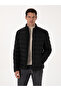 Black Thin Quilted Coat 50319255-Vr046