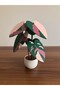 Philodendron Tree Shaped Pink/Green Princess Coaster - 3