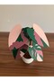 Philodendron Tree Shaped Pink/Green Princess Coaster - 6