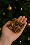 6-Piece Large Christmas Pine Cone Ornament New Year Pine Tree Decorative Ornaments Gold Pine Cone 6cm - 7
